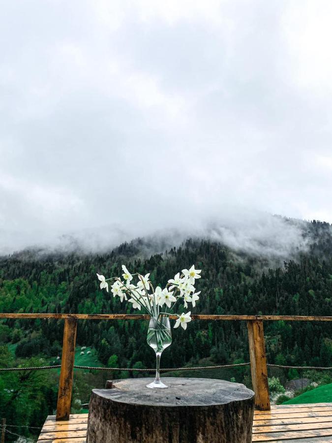 Mitarbi Silence - Cozy Holiday Cottages In Mountains Borjomi Exterior foto