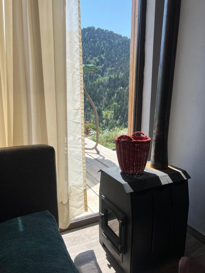 Mitarbi Silence - Cozy Holiday Cottages In Mountains Borjomi Exterior foto